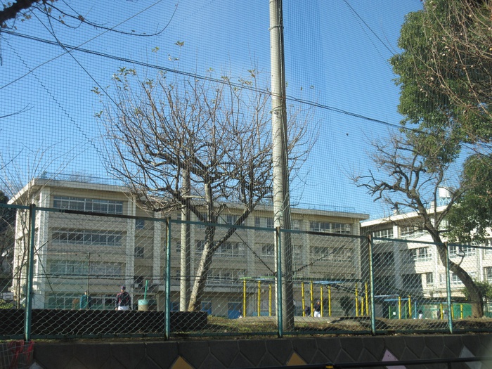 小学校　川崎市立鷺沼小学校（小学校）まで300m