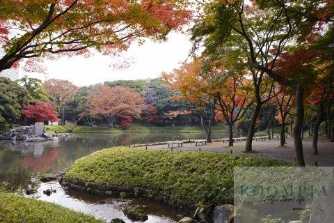 その他　小石川後楽園 01（その他）まで742m
