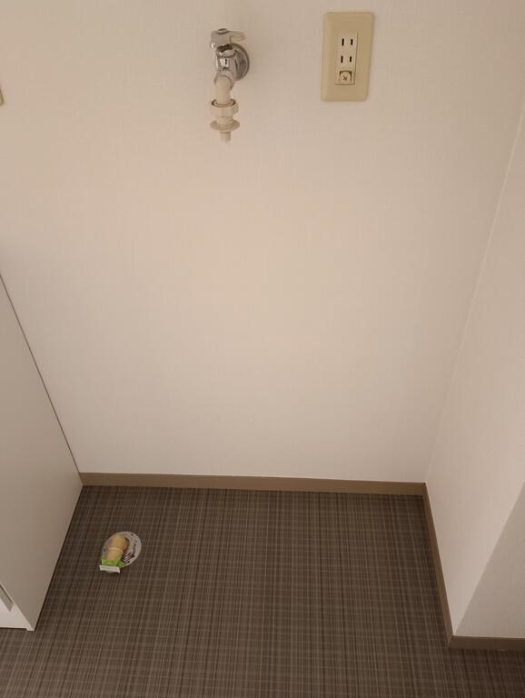 その他設備　洗濯機置き場
