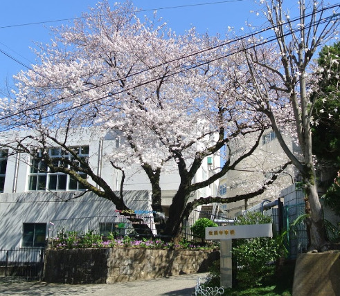 中学校　川崎市立生田中学校（中学校）まで6598m