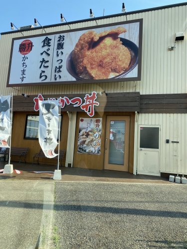 飲食店　たれかつ本舗 勝升（飲食店）まで537m