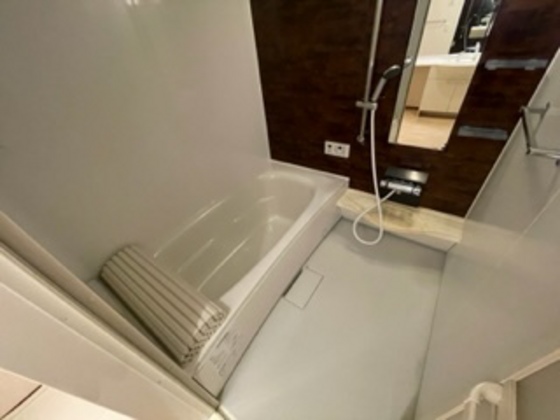 バス・シャワールーム　※別号室の写真です