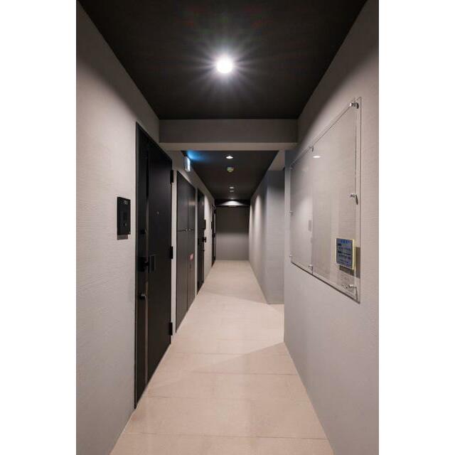 その他　2025年2月撮影