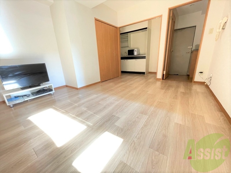 その他部屋・スペース　ワンルームなのでリビングと寝室は一緒になります。