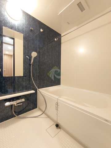 バス・シャワールーム　ベルファース上野