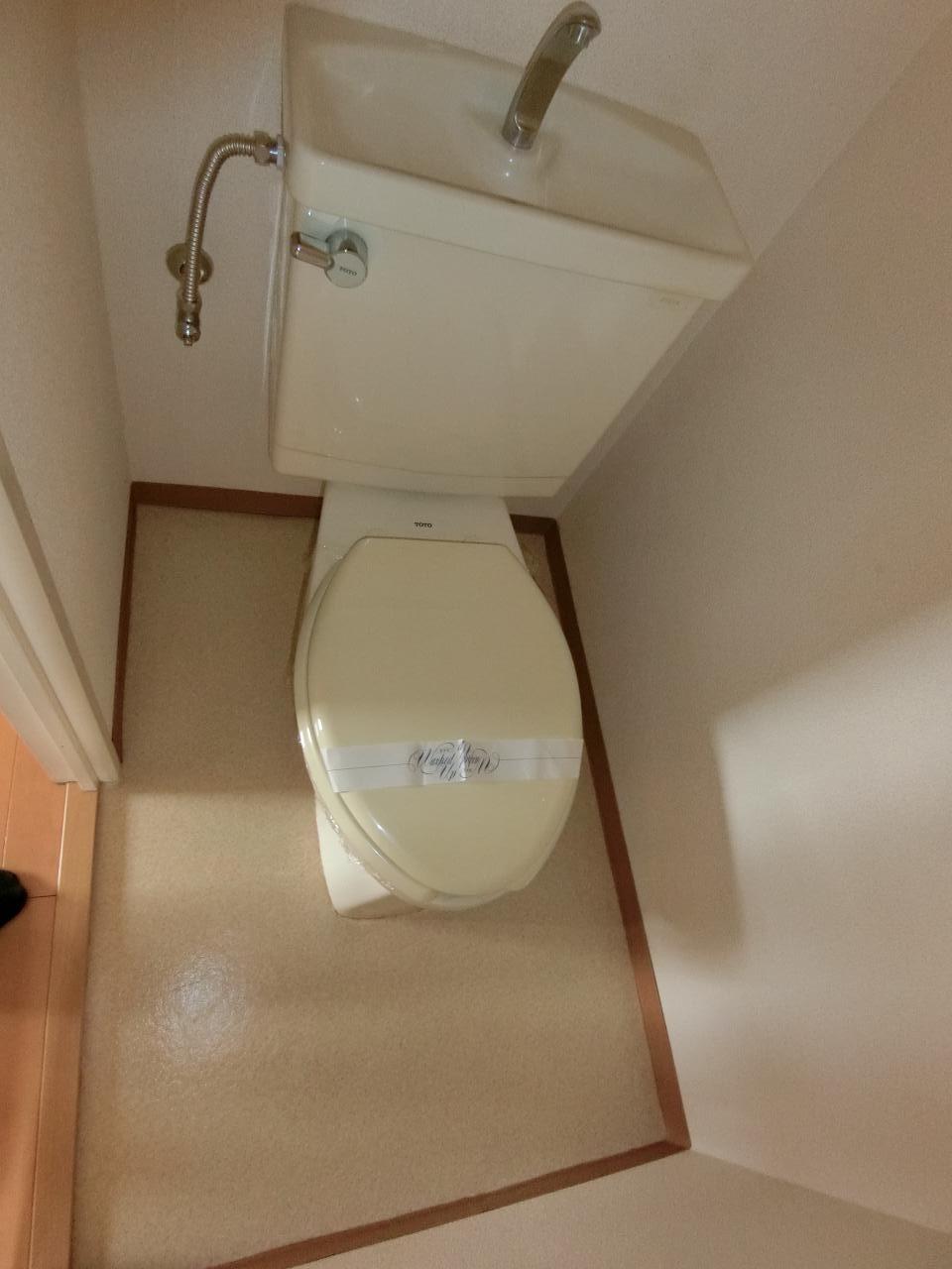 トーヨー柏ハイムのトイレ写真