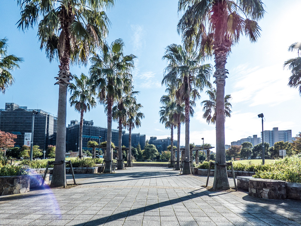 公園　明海の丘公園（公園）まで545m