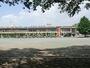 小学校　さいたま市立日進北小学校（小学校）まで390m