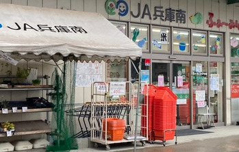 ネオパリエAの周辺写真