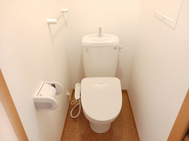 トイレ　トイレも気になるポイント