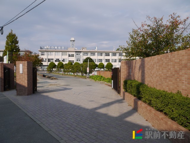 【グランチェリーの小学校】