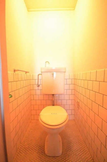 トイレ　写真は別号室のものです。