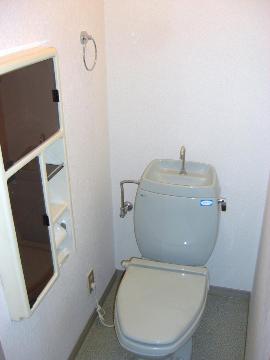 トラストホーム新清洲のトイレ写真