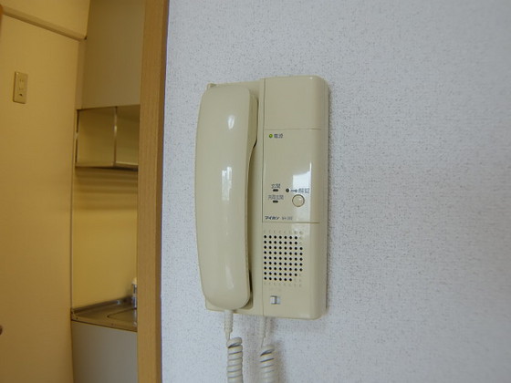 セキュリティ　他号室のお写真です