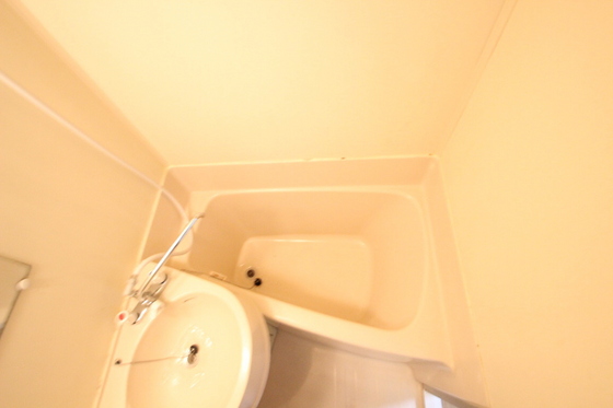 バス・シャワールーム　※別号室のお写真です