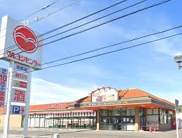 スーパー　マルヨシセンター池園店（スーパー）まで981m