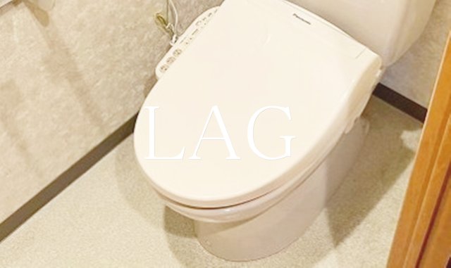 トイレ　トイレです。