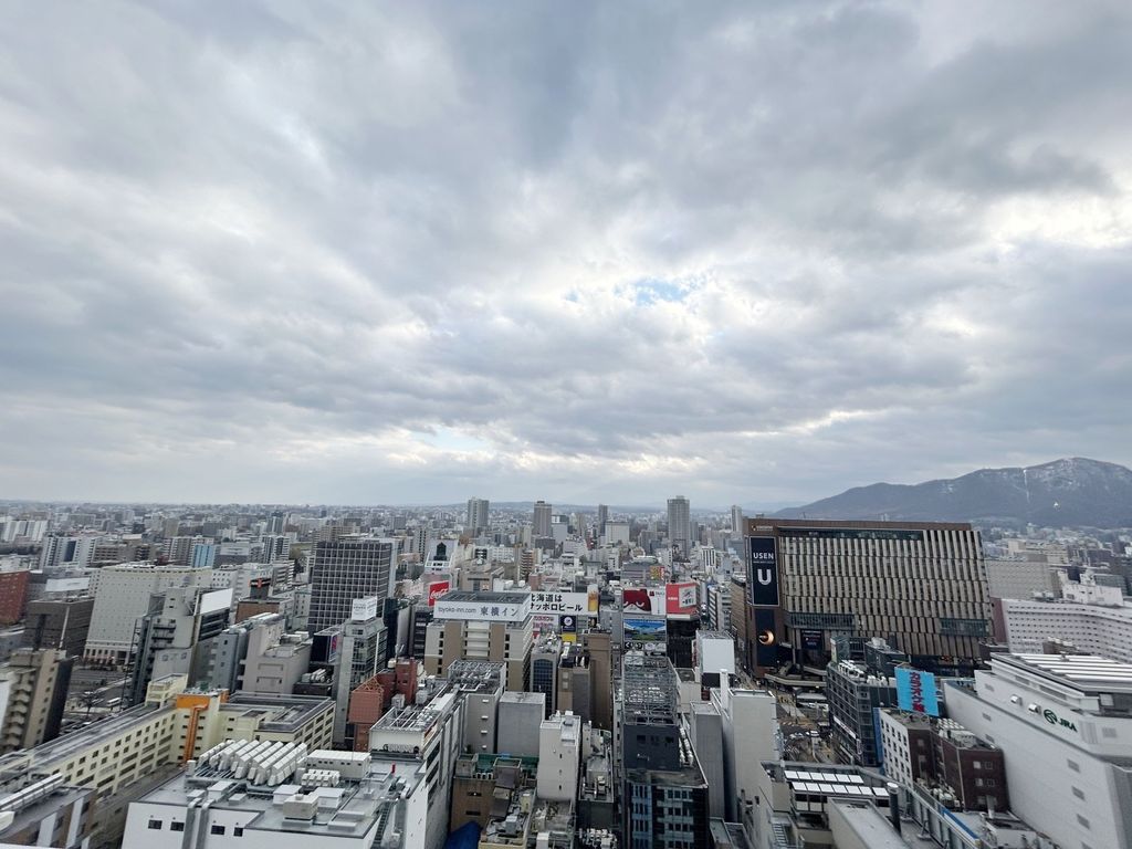 眺望　リビングからの眺望(南向き)