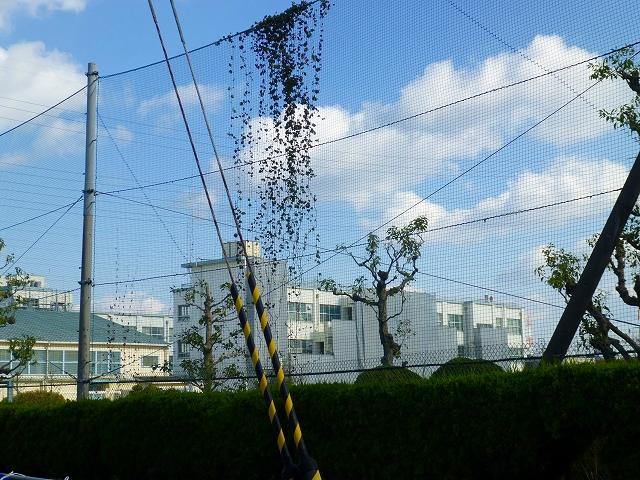 小学校　高槻市立大冠小学校（小学校）まで787m