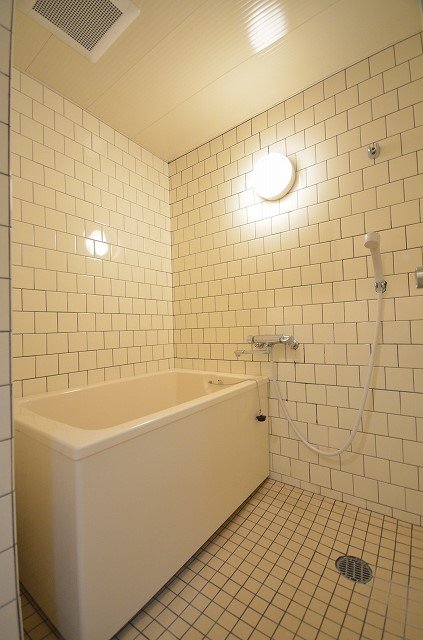 バス・シャワールーム　※同建物・別号室の写真です