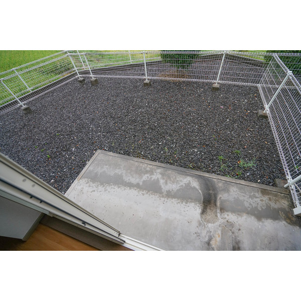 庭　同じ建物の別なお部屋