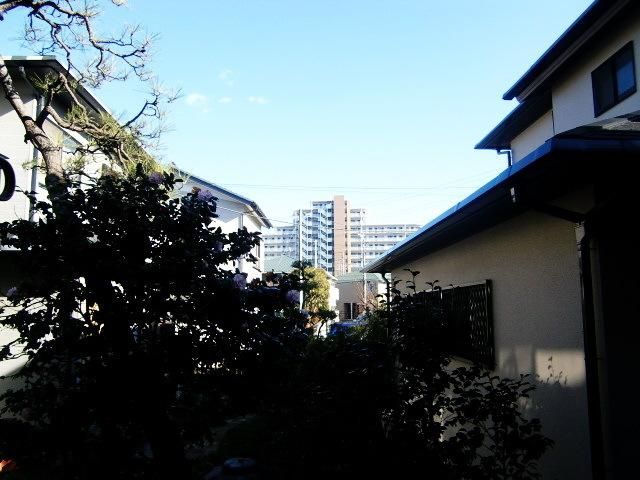 眺望　周辺は住宅街です。