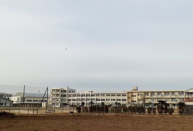 小学校　市立前渡小学校（小学校）まで1400m