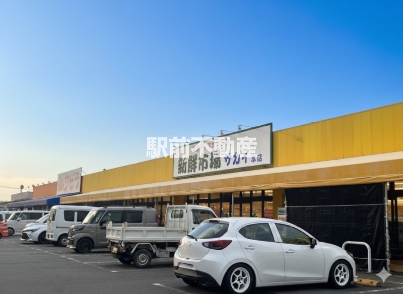 スーパー　新鮮市場サカイ本店（スーパー）まで500m