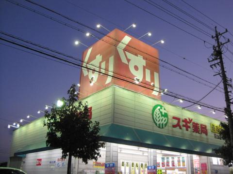 その他　ドラッグストア（その他）（その他）まで800m