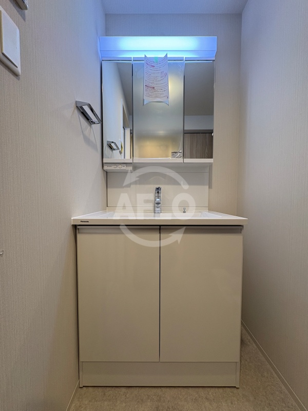 洗面設備　スプランディッド駒川中野駅前　独立洗面台