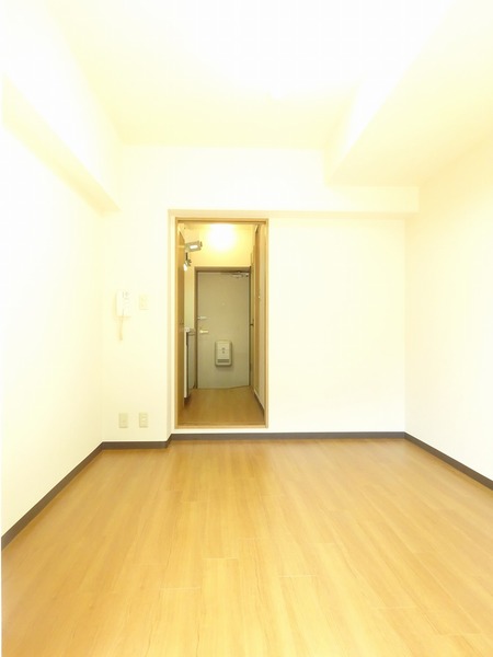 居室・リビング　ゆったりとした居間です