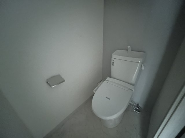 トイレ　同物件別号室のものです。