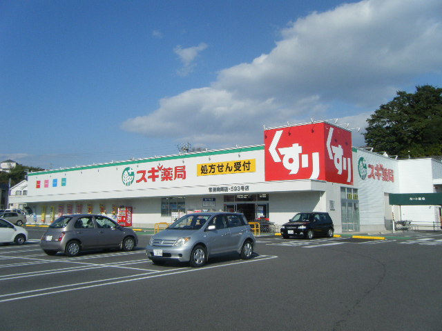 ドラックストア　スギ薬局 常滑陶郷店（ドラッグストア）まで406m