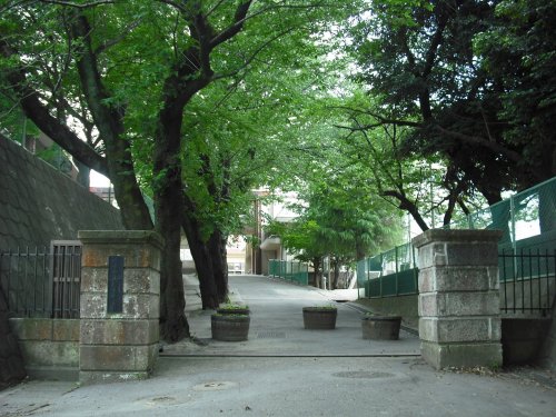 小学校　千葉市立桜木小学校（小学校）まで383m