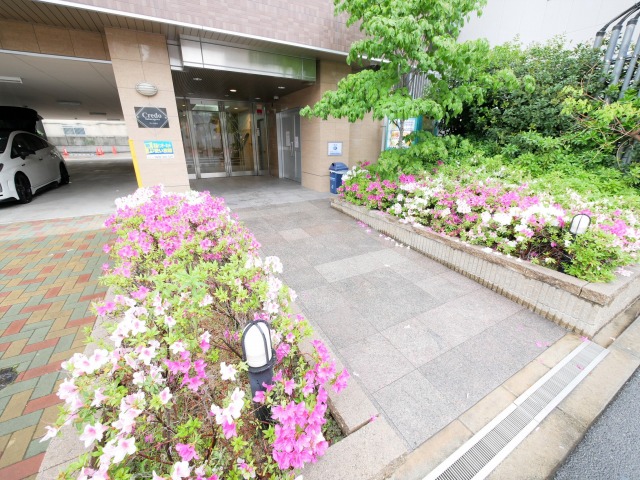 庭