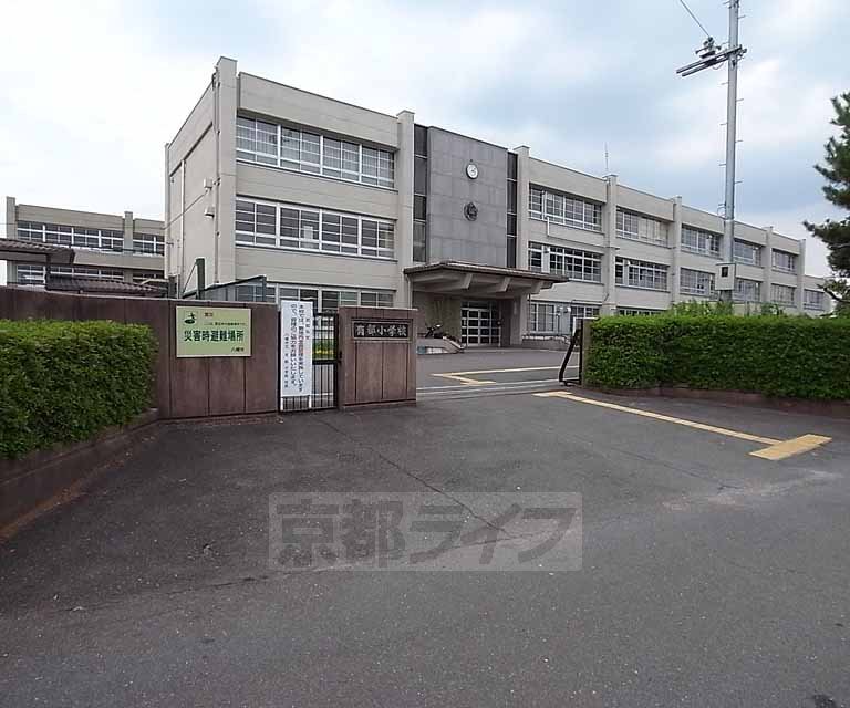 小学校　有都小学校（小学校）まで1100m