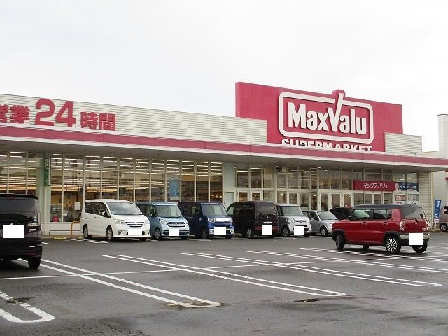 スーパー　マックスバリュ島之内店（スーパー）まで350m