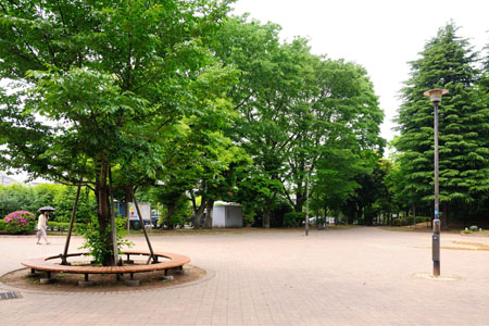 公園　駒沢緑泉公園（公園）まで463m