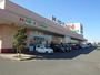 スーパー　ハローズ新涯店（スーパー）まで914m