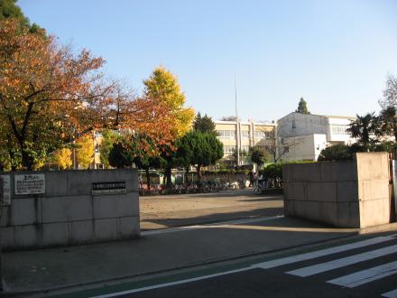 小学校　板橋区立志村第六小学校（小学校）まで299m