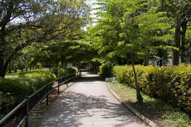 その他　砧公園
