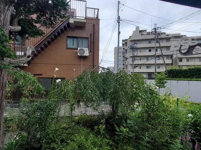 眺望