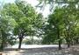 公園　荒川公園（公園）まで708m