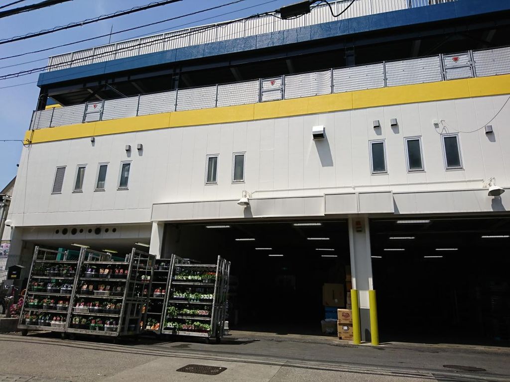 ホームセンター　島忠中野店（ホームセンター）まで850m