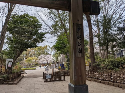 公園　戸越公園（公園）まで608m