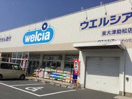 ドラックストア　ウエルシア 泉大津助松店（ドラッグストア）まで573m