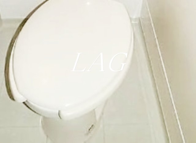 トイレ　トイレです。