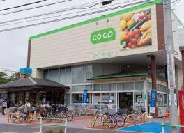 スーパー　コープみらい コープ亀有店（スーパー）まで638m