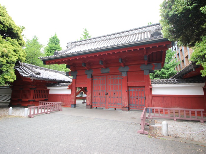 大学・短大　東京大学赤門（大学・短大）まで561m