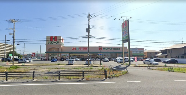 スーパー　ハローズ　東姫路店（スーパー）まで300m